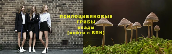 прущая мука Няндома
