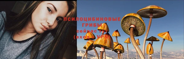 ешки Нягань