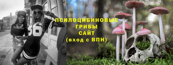 прущая мука Няндома