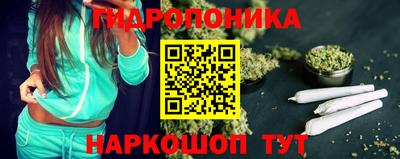 PSILOCYBIN Гусиноозёрск