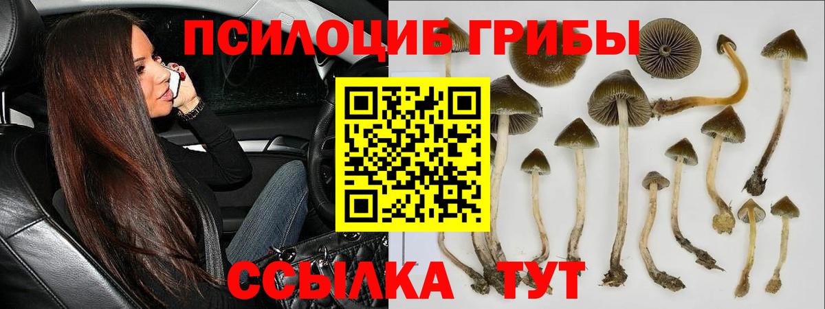 Амфетамин Приморско-Ахтарск