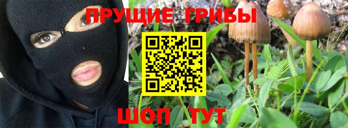 Псилоцибиновые грибы мухоморы Приморско-Ахтарск