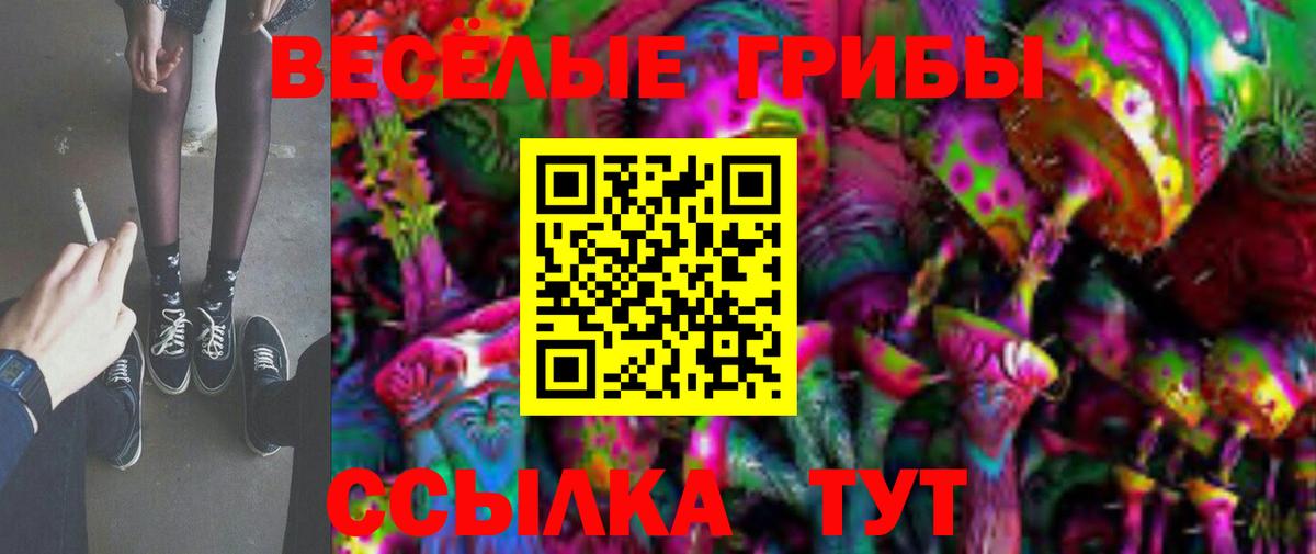 Приморско-Ахтарск  Галлюциногенные грибы MAGIC MUSHROOMS  Вход с VPN 
