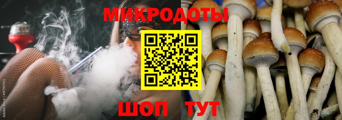 Конопля  Гашиш  Купить наркотики  Приморско-Ахтарск  COCAIN  МЕФ   Вход с VPN  APVP СК  