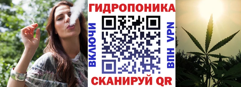 Каннабис сатива  Приморско-Ахтарск 